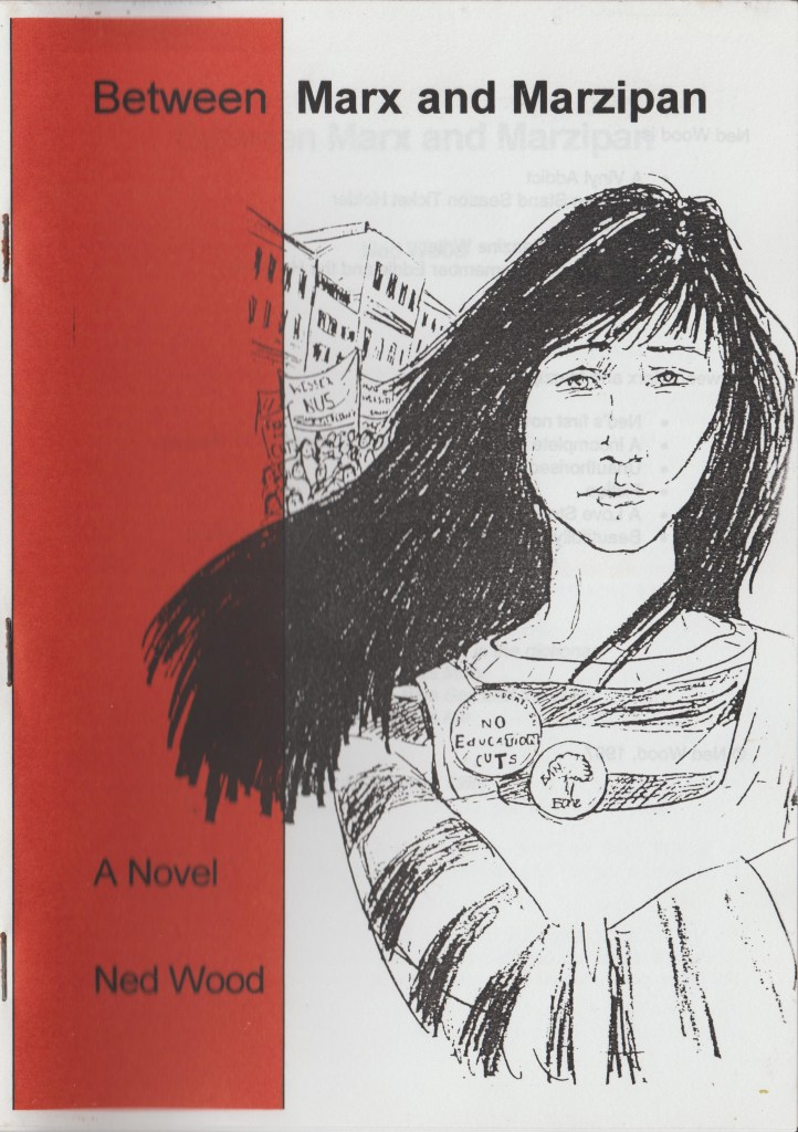 Front cover of original version of Between Marx and Marzipan, showing an image of Mary at a demonstration.