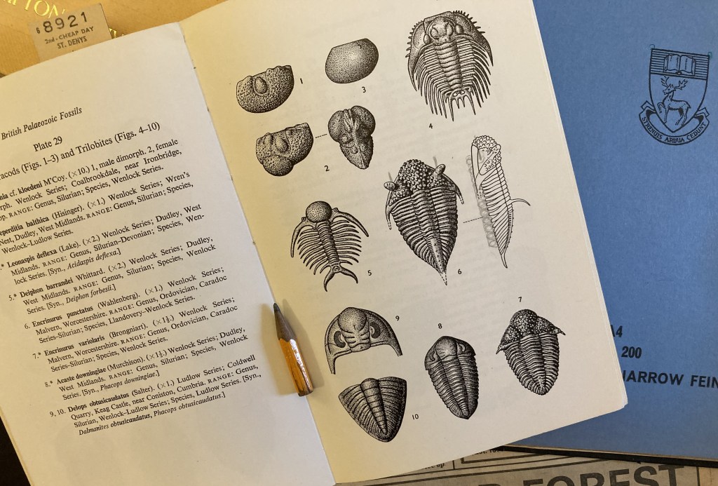 Text book showing drawings of Silurian trilobite fossils
